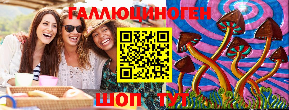 Реутов  Галлюциногенные грибы GOLDEN TEACHER  дарнет шоп  Вход с VPN 