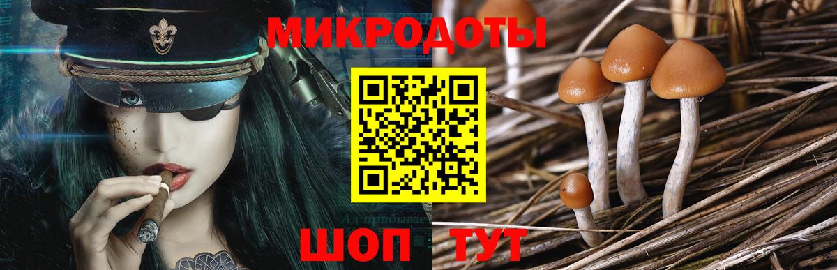 Галлюциногенные грибы Magic Shrooms Реутов